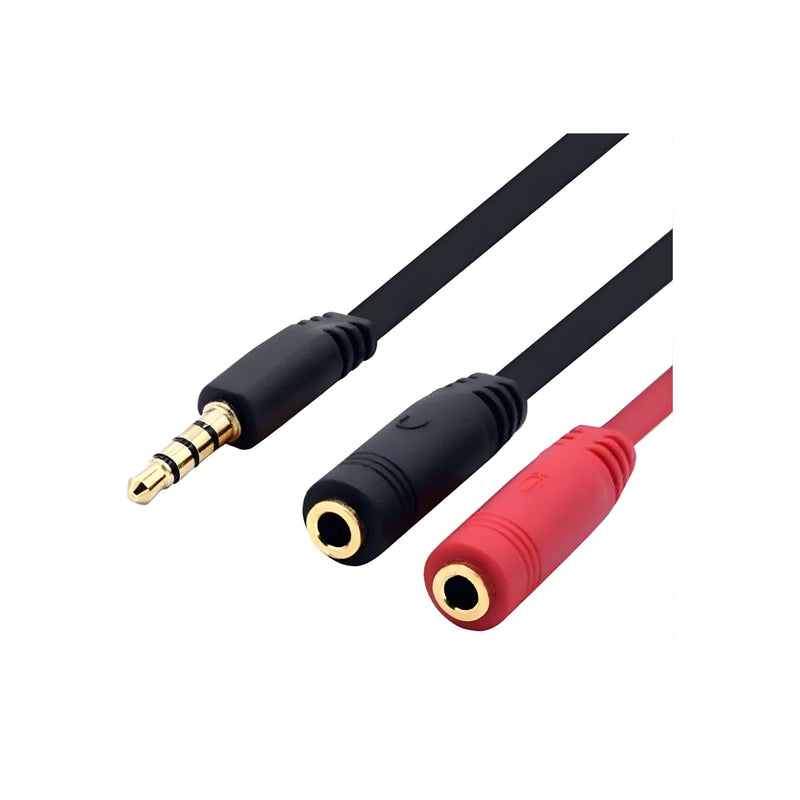 AUX 2X 1 CABLE-2