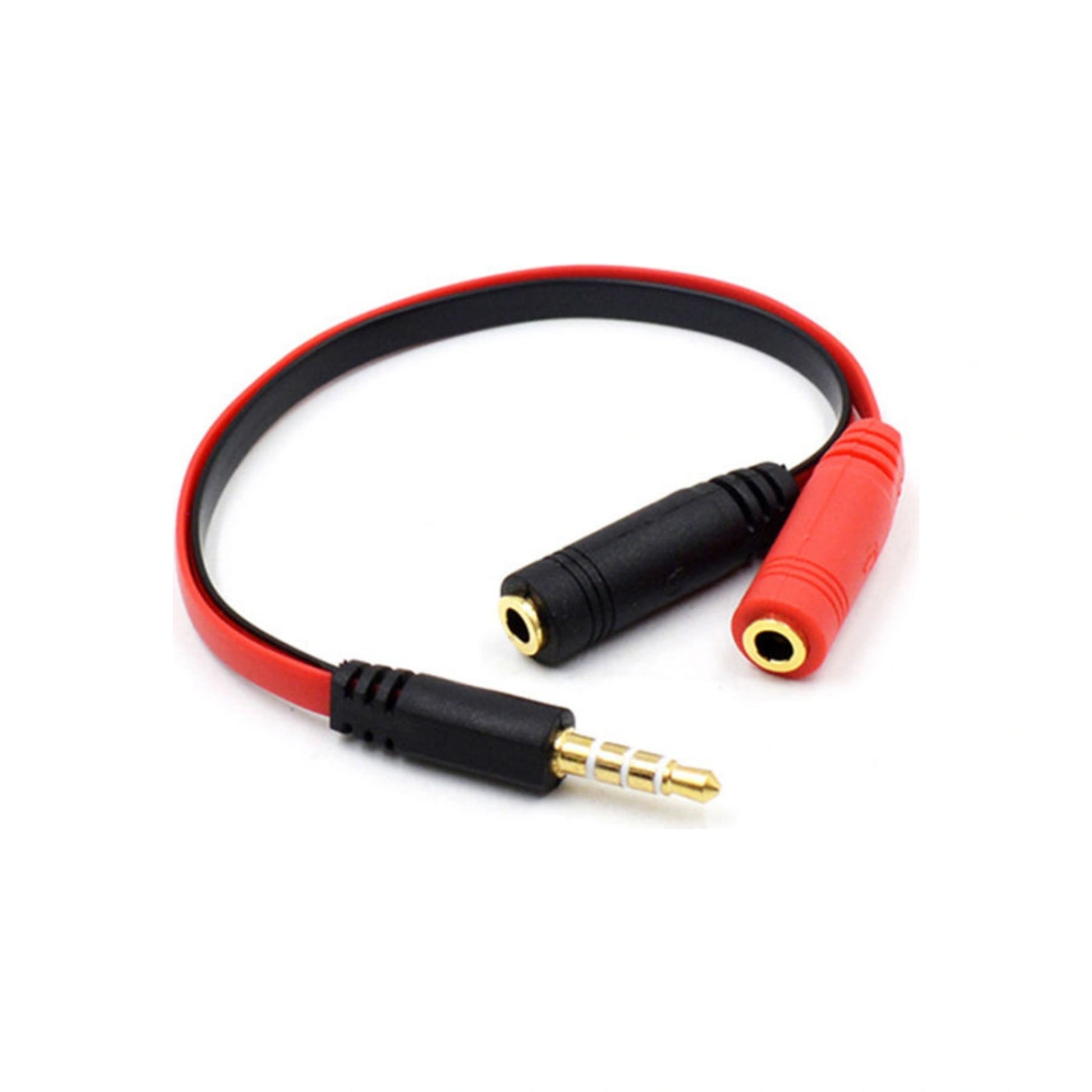 AUX 2X 1 CABLE-1